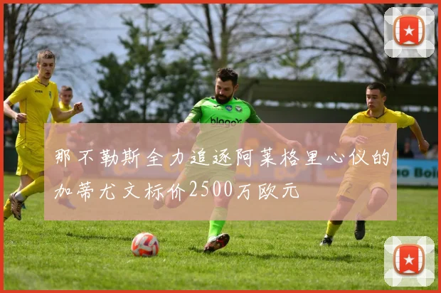 那不勒斯全力追逐阿莱格里心仪的加蒂尤文标价2500万欧元